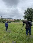 Filmaufnahmen auf den Wildblumenwiesen in Dessau