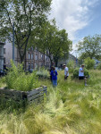 Hochbeete des ‚grünen Klassenzimmers‘ der Liselotte Rauner-Schule in Wattenscheid